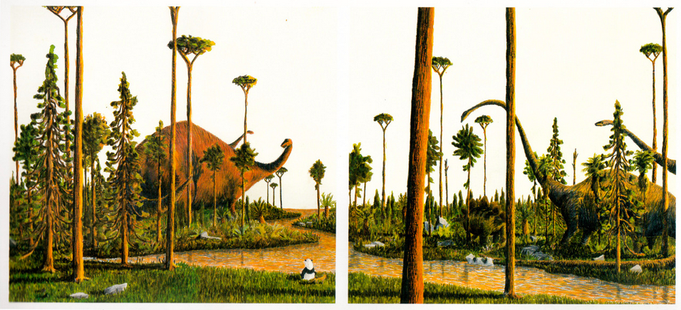 Sunset - Where am I?