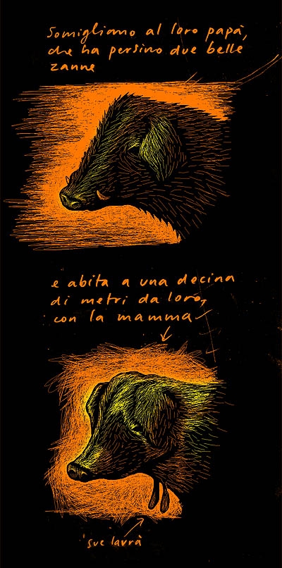 Maialetti (frammento)