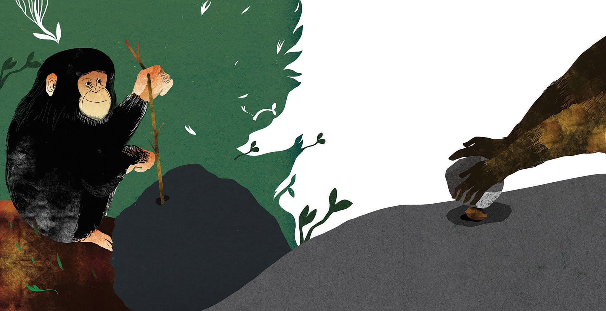 07Chiara Dattola Illustration singes 13