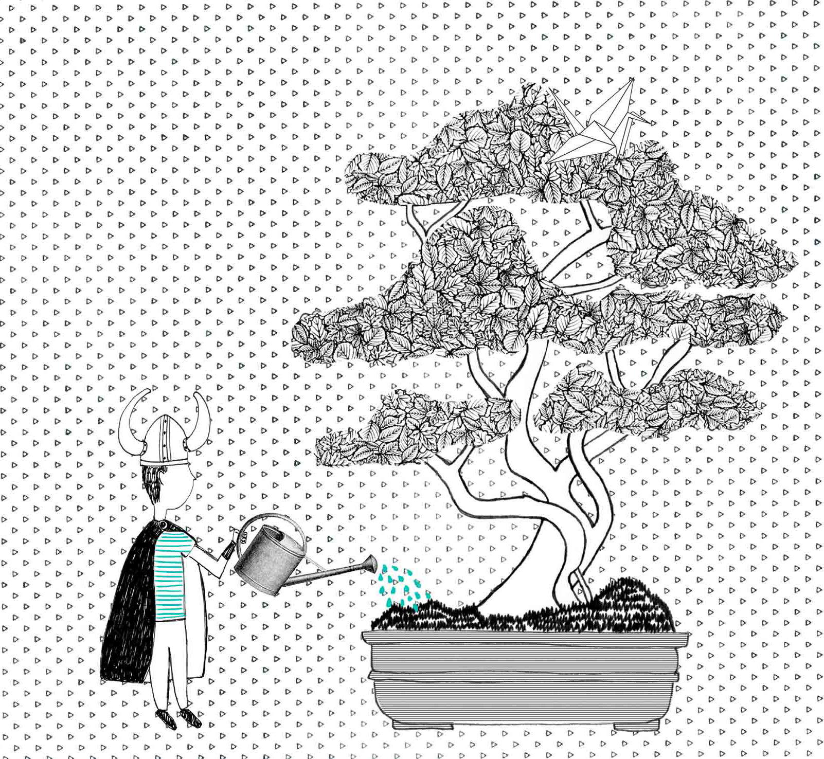 novitàitraditoriF 01