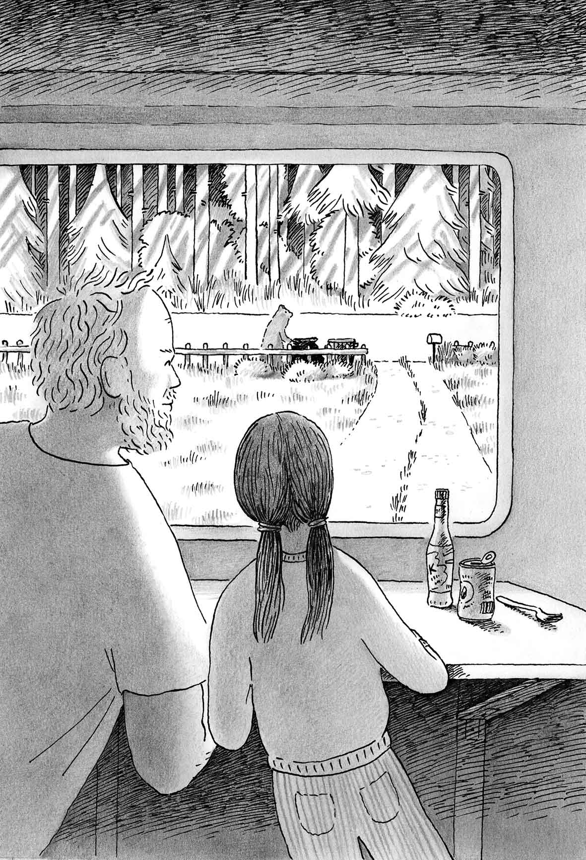 10 Pine Island 3 web