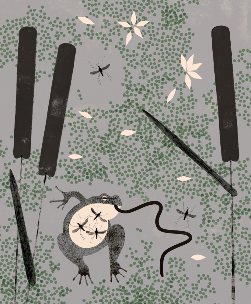 01(Representative Image)