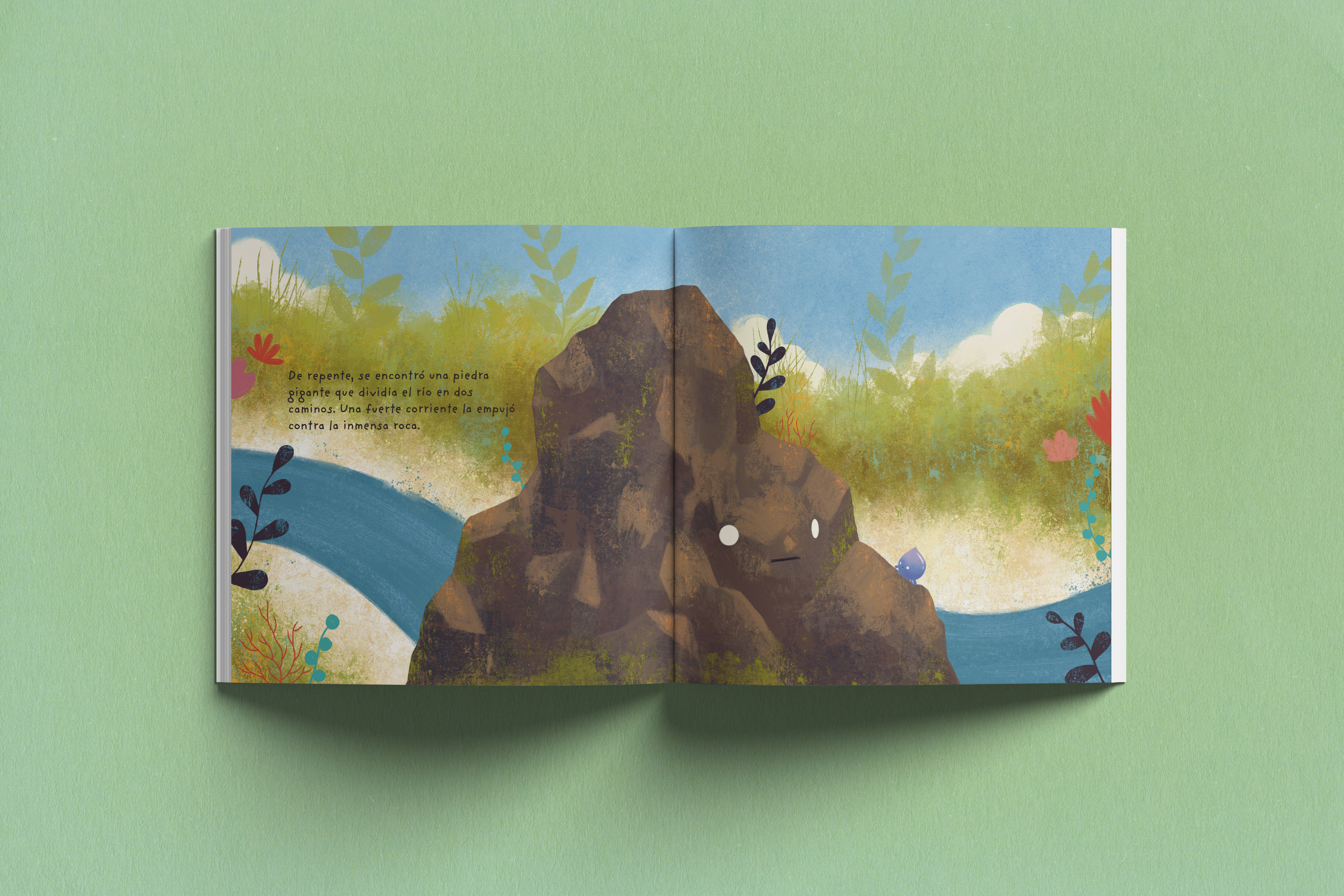 carlotalagota2 solin