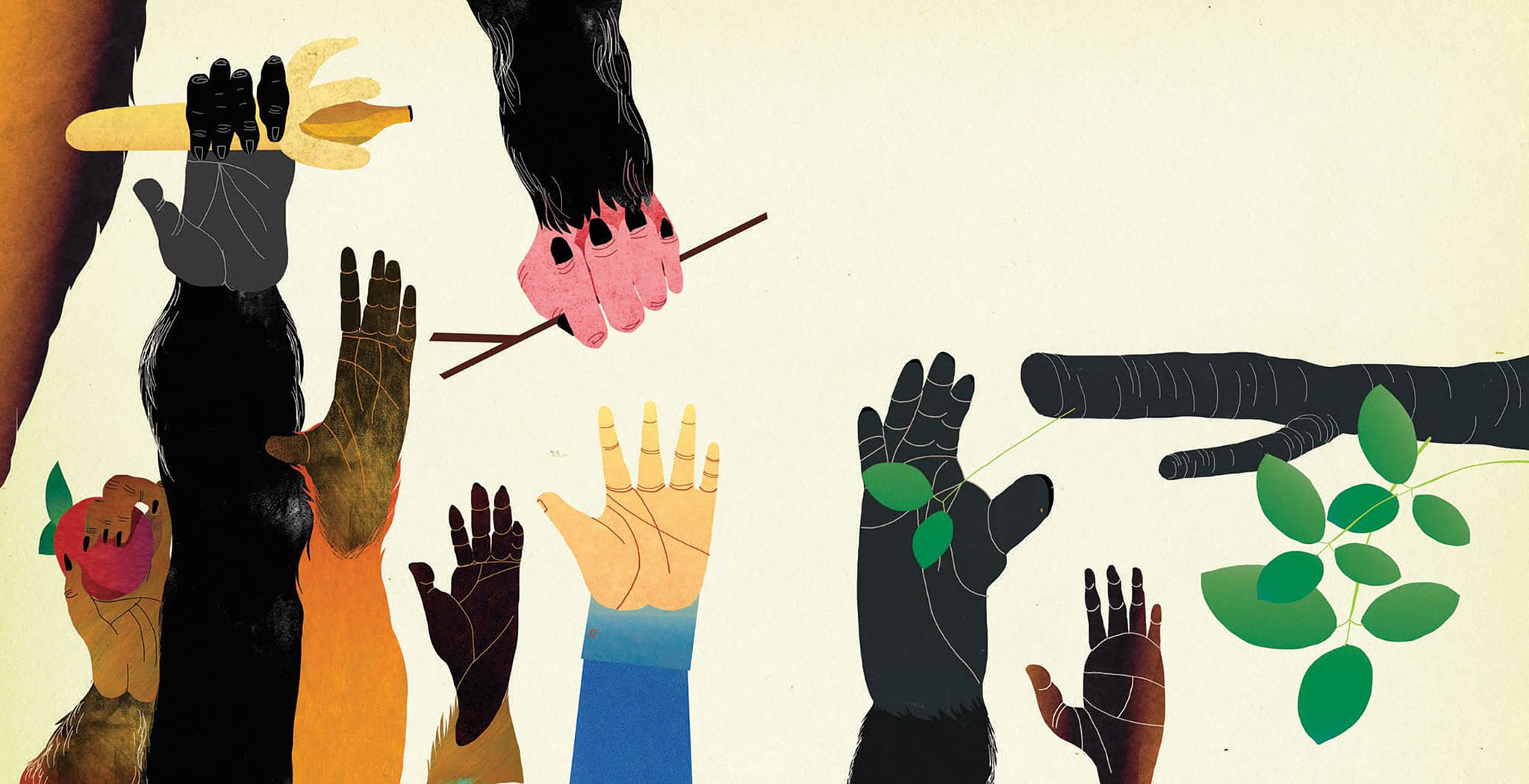 06Chiara Dattola Illustration singes 09