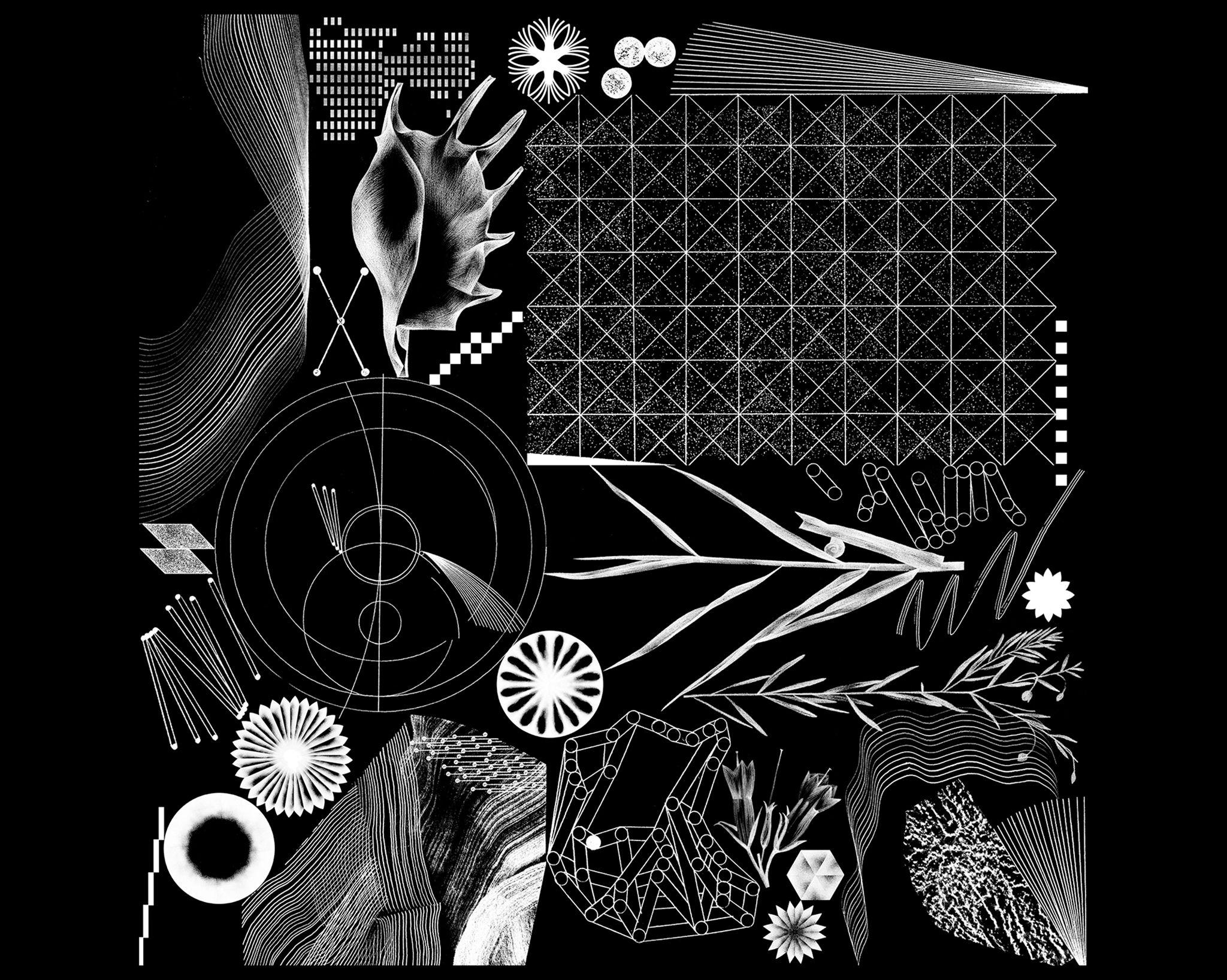 chialab mariia titova 9