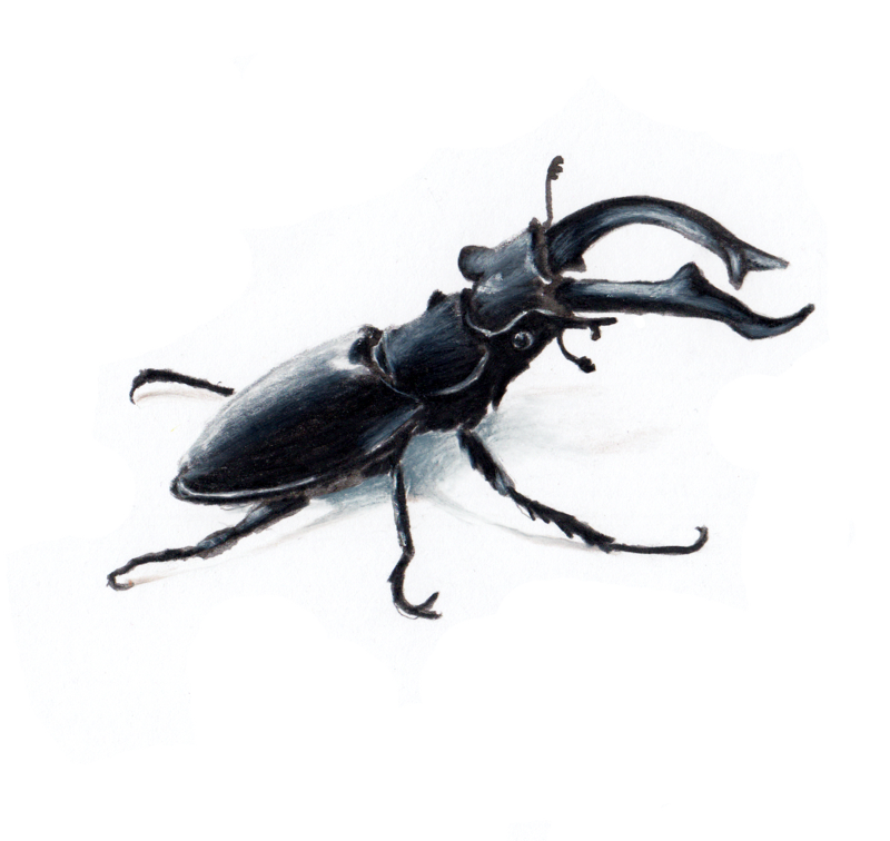 The best you can is good enough EP 1/2