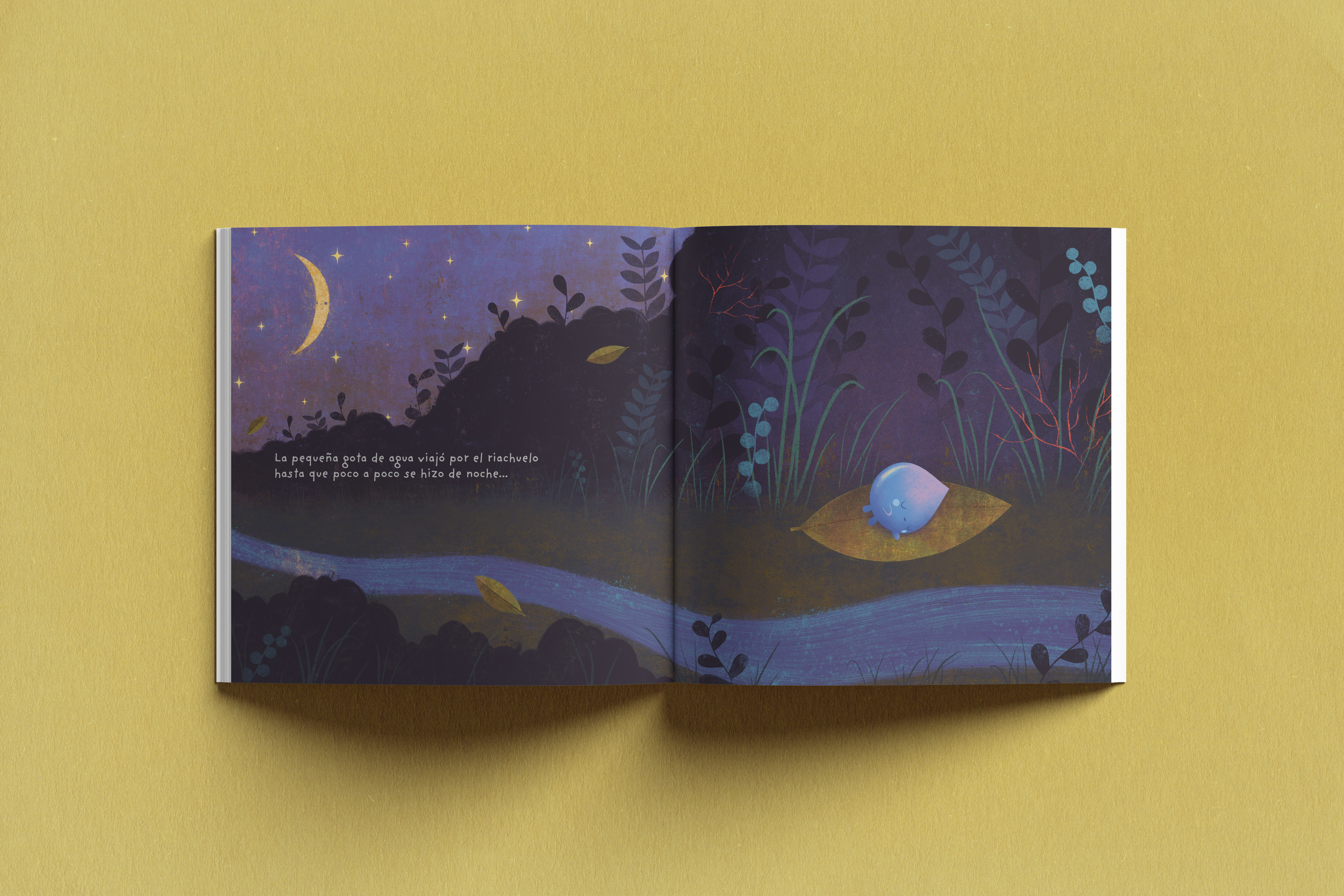 carlotalagota1 solin