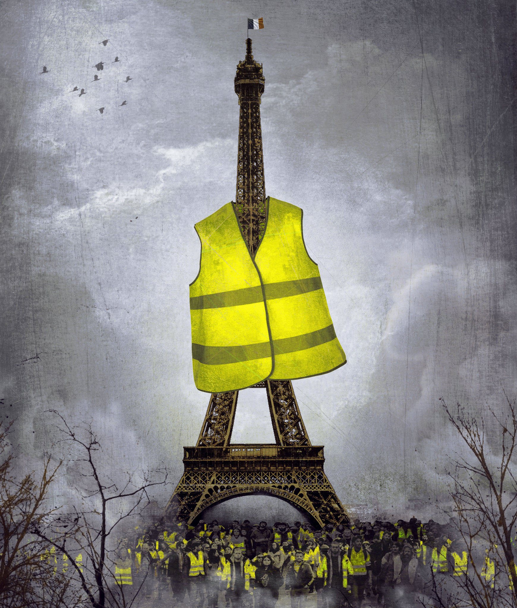 gilet jaune
