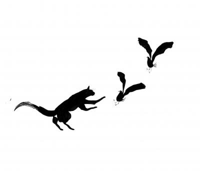 L'orchestra del gatto nero